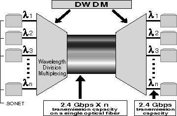 (Graphic of DWDM Equipment)