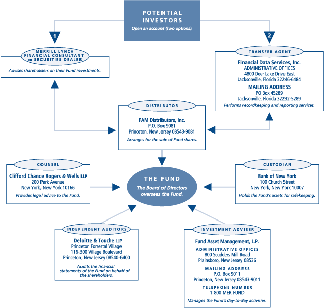 (ML POTENTIAL INVESTORS CHART)