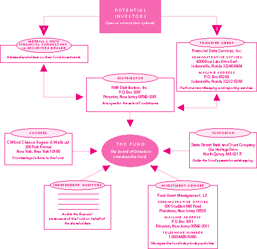 (ML POTENTIAL INVESTORS CHART)