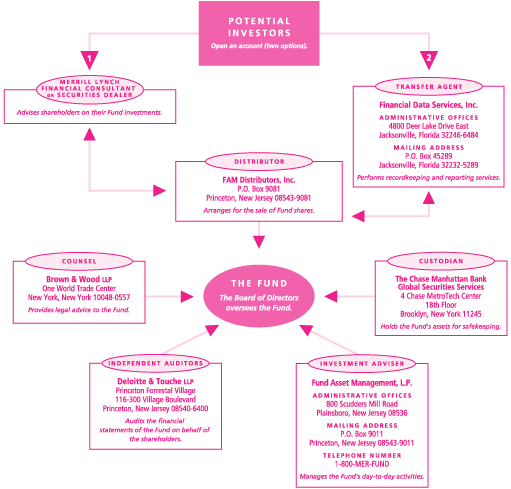 ML POTENTIAL INVESTORS CHART