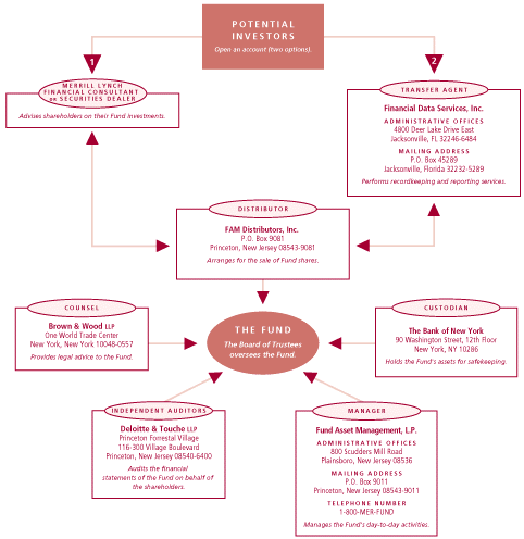 (ML POTENTIAL INVESTORS CHART)