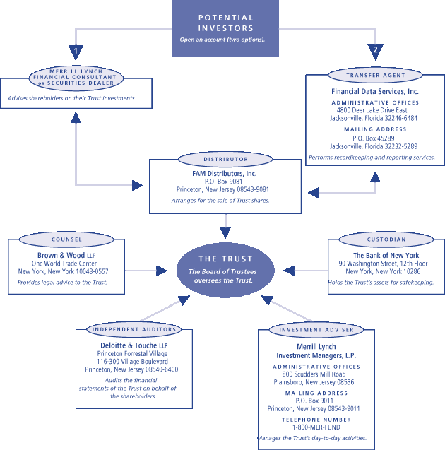 (ML POTENTIAL INVESTORS CHART)