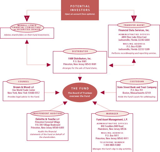 (ML POTENTIAL INVESTORS CHART)