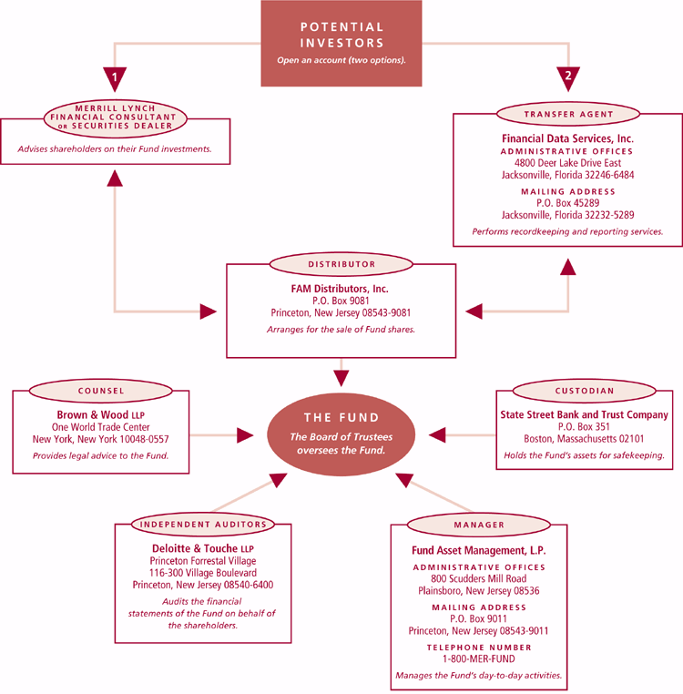 (ML POTENTIAL INVESTORS CHART)