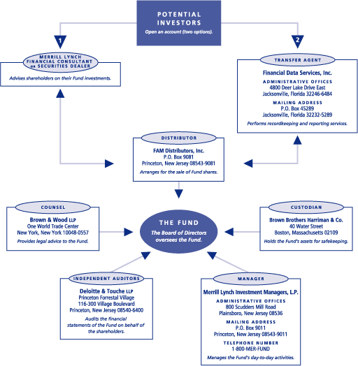 (ML POTENTIAL INVESTORS CHART)